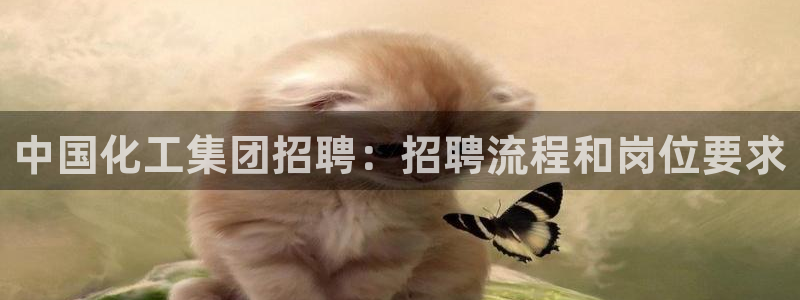 球盟会平台会黑单吗