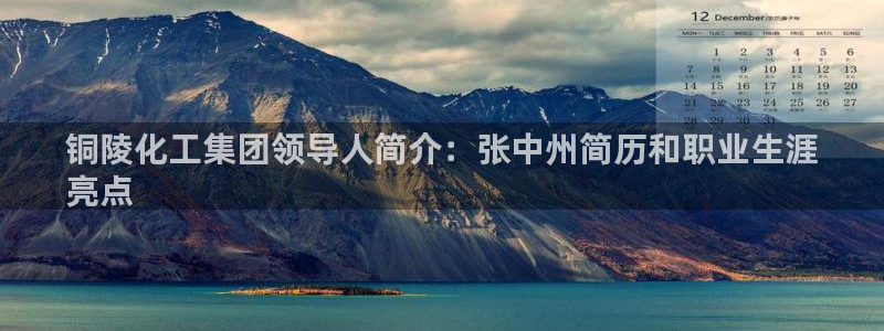 球盟会有没有黑单的人：铜陵化工集团领导人简介：张中州简历和职