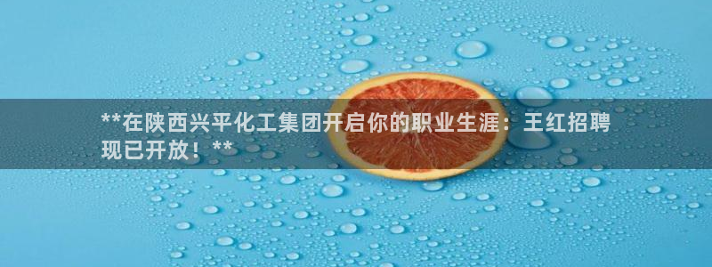 球盟会可以提现么是真的吗：**在陕西兴平化工集团开启你的职业