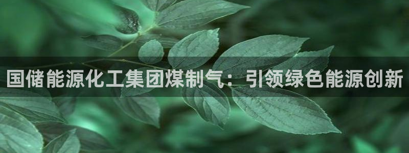 球盟会在线登录：国储能源化工集团煤制气：引领绿色能源创新