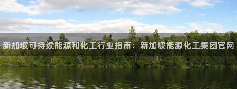 球盟会里面有打牌的嘛：新加坡可持续能源和化工行业指南：新加坡