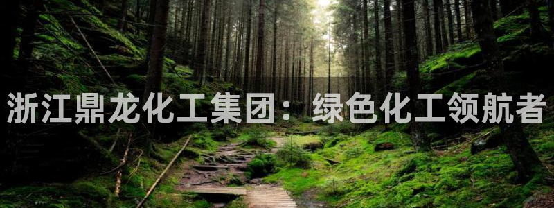 球盟会app手机登录：浙江鼎龙化工集团：绿色化工领航者