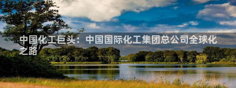 球盟会优惠领取网站是真的吗：中国化工巨头：中国国际化工集团总