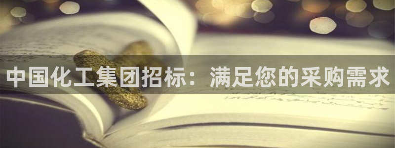 球盟会黑款吗：中国化工集团招标：满足您的采购需求