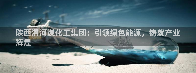球盟会app入口：陕西渭河煤化工集团：引