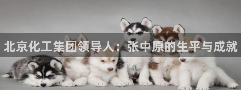 球盟会网页登录app下载地址：北京化工集团领导人：张中原的生