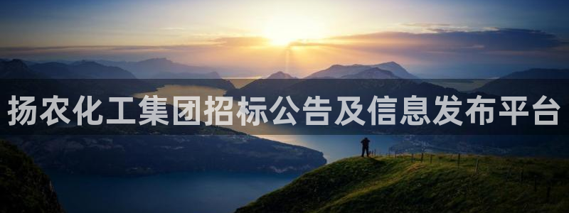 球盟会下款快吗：扬农化工集团招标公告及信息发布平台