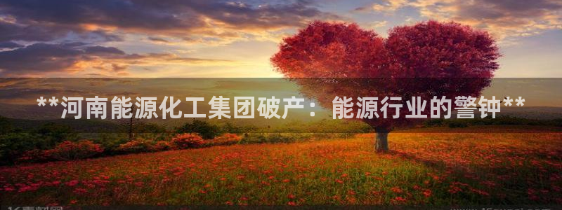 球盟会电子好黑：**河南能源化工集团破产：能源行业的警钟**