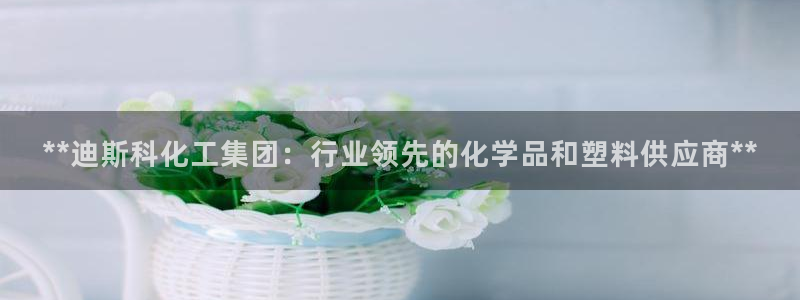 球盟会能退钱吗现在：**迪斯科化工集团：行业领先的化学品和塑