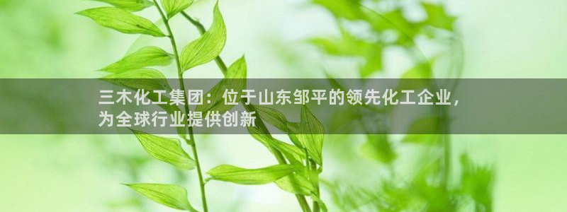 球盟会综合体育平台：三木化工集团：位于山东邹平的领先化工企业