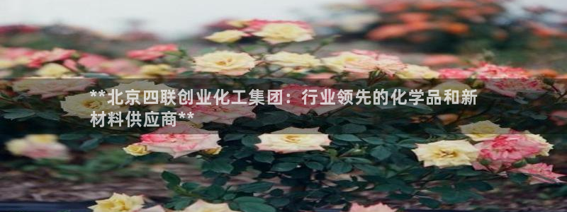 球盟会官方网站：**北京四联创业化工集团：行业领先的化学品和