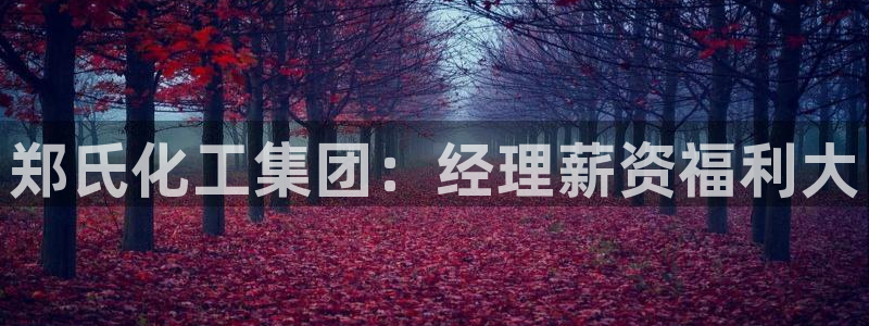 球盟会能提现吗是真的吗：郑氏化工集团：经