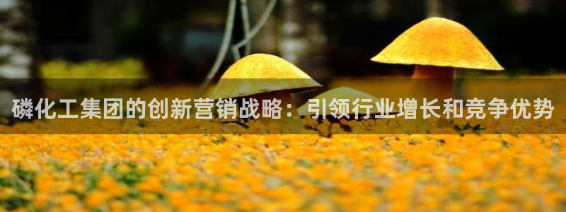 球盟会最新：磷化工集团的创新营销战略：引领行业增长和竞争优势